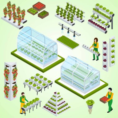 İzometrik tarım kavramının vektör çizimi