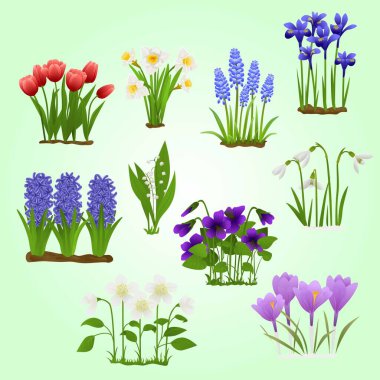 Bahar Çiçekleri Düzlüğü