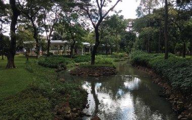 Güzel bir göl veya nehrin ortasındaki bir şehir parkının manzarası ve yerel sakinlerin faaliyetleri ve hayvanların devamlılığı ve çiçek açması.