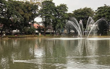 Güzel bir göl veya nehrin ortasındaki bir şehir parkının manzarası ve yerel sakinlerin faaliyetleri ve hayvanların devamlılığı ve çiçek açması.