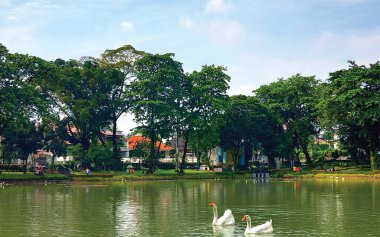 Güzel bir göl veya nehrin ortasındaki bir şehir parkının manzarası ve yerel sakinlerin faaliyetleri ve hayvanların devamlılığı ve çiçek açması.