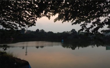 Güzel bir göl veya nehrin ortasındaki bir şehir parkının manzarası ve yerel sakinlerin faaliyetleri ve hayvanların devamlılığı ve çiçek açması.