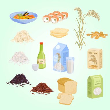 Çeşitli besin ve malzemelerin vektör kümesi