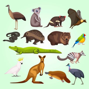 farklı hayvanların kümesi