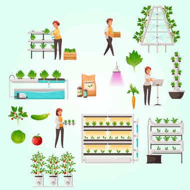 Farklı organik gıda ve sebzeler.