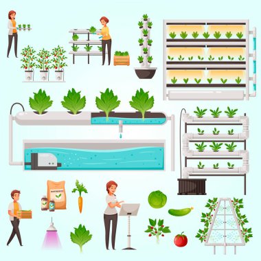 Sera bitkileri seti. vektör illüstrasyonu