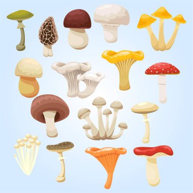 Mantarlar, mantarlar, mantarlar, mantarlar, agareler, amanita, agarik, agarik, agarik,