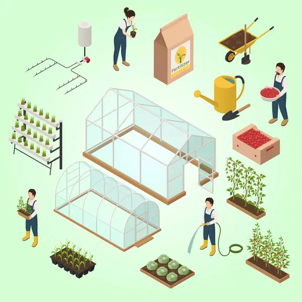 Bitkiler, bitkiler ve bitkilerle dolu bir sera