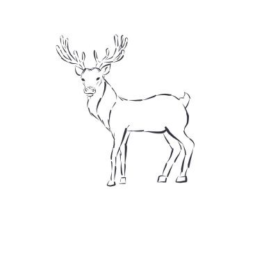 Hand drawn reindeer vector line sketch.