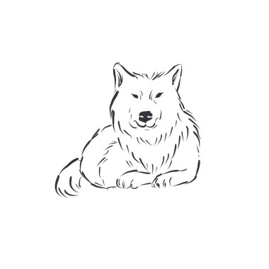 Hand drawn wild wolf vector line sketch.