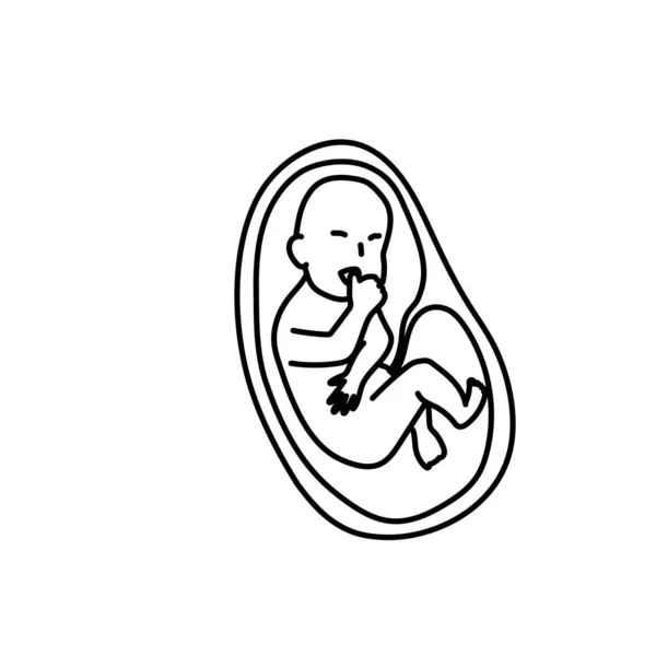 Baby Foster Livmoder Linje Konst Vektor — Stock vektor