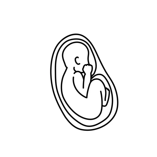 Baby Fötus Einer Gebärmutterlinie Kunstvektor — Stockvektor