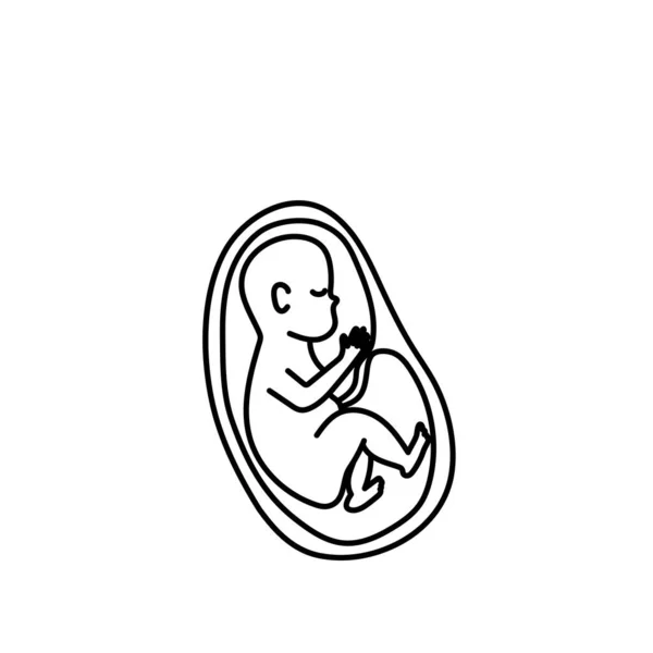 Έμβρυο Μια Μήτρα Γραμμή Τέχνης Διάνυσμα — Διανυσματικό Αρχείο