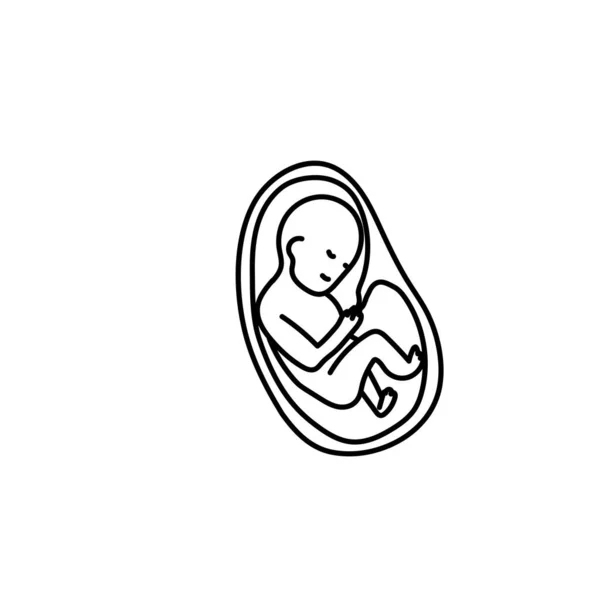 Baby Fötus Einer Gebärmutterlinie Kunstvektor — Stockvektor