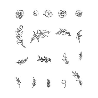 Taslak çiçek ve sol vektör beyaz arkaplanda izole edilmiş.