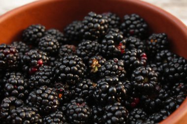 Sulu böğürtlen beslenme geçmişi.