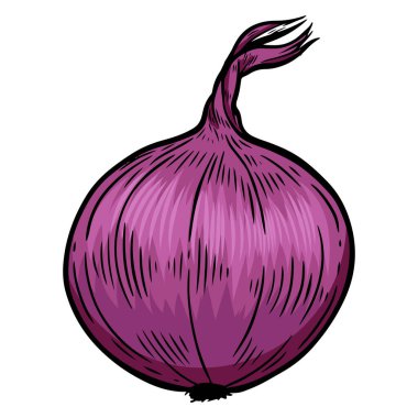 Kabartmalı soğan beyaz arkaplanda izole.