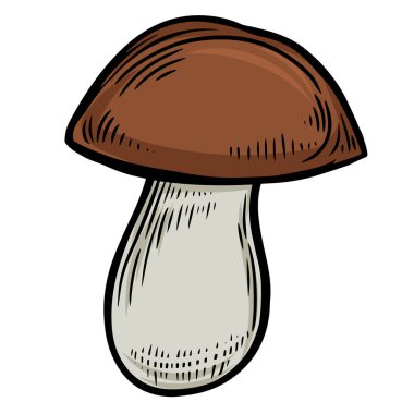 Kabartmalı porcini mantar çizimi vektör çizimi.