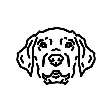 Beyaz arkaplanda Labrador portre çizimi izole edildi.