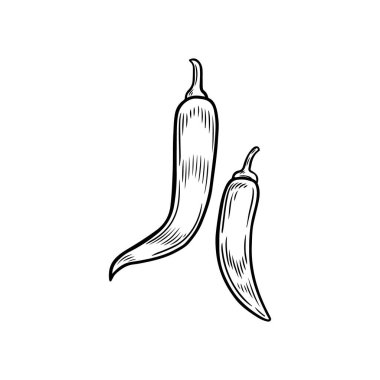 Chili biber çizimi vektör illüstrasyonu.