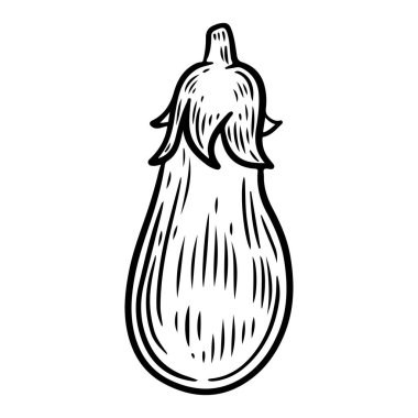 Patlıcan ve dilimler vektör çizimi çizimi.