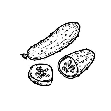 Kabartmalı salatalıklar beyaz arka planda izole edilmiş..