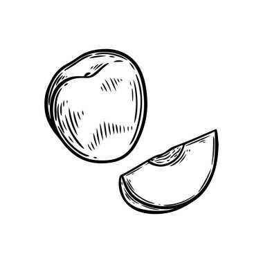 Şeftali dilimi çizimi beyaz arkaplanda izole.