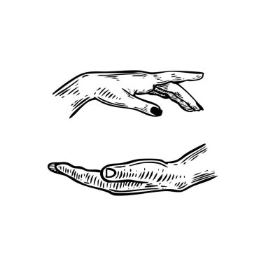 Birbirine uzanan iki elin detaylı siyah-beyaz çizimi bağlantı, empati ve destek temalarını çağrıştırıyor. Sanatsal veya kavramsal projeler için mükemmel.