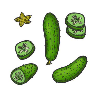  Kabartmalı salatalıklar beyaz arka planda izole edilmiş..