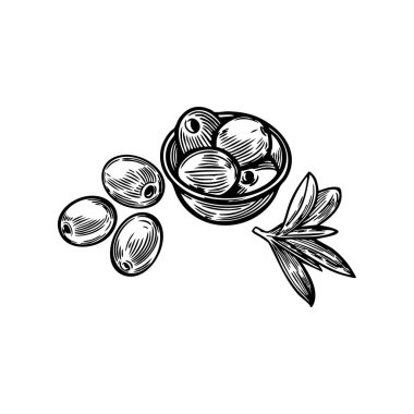 Beyaz arkaplanda zeytin ve mutfak gereçleri çizimi izole.