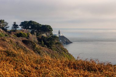 Howth Island, Dublin, İrlanda 'da yürüyüş parkurunda. Uzakta ikonik beyaz Baily Deniz Feneri var. Sakin denizin üzerinde mavi bir gökyüzünün altında sis vardır. Yüksek, dik uçurumlar. Sakin güneşli sisli bir sabah