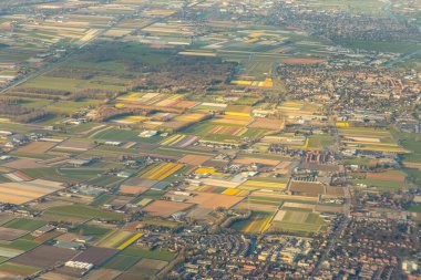 Hollanda çiçek tarlaları havadan görünüyor. Çeşitli renkler ve çiftlikler görülebilir. Yüksek kalite fotoğraf