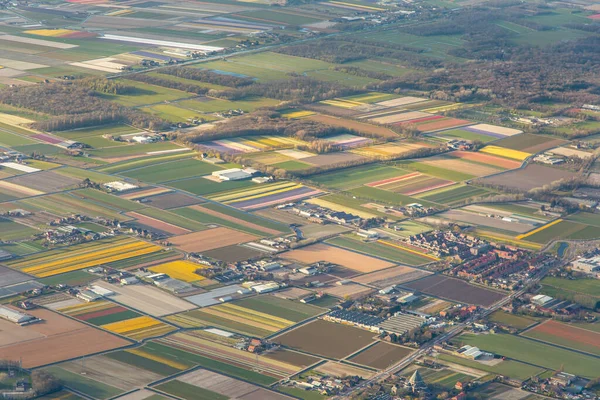 Dutch flower bulb fields seen from the air. Various colours and farms visible. High quality photo