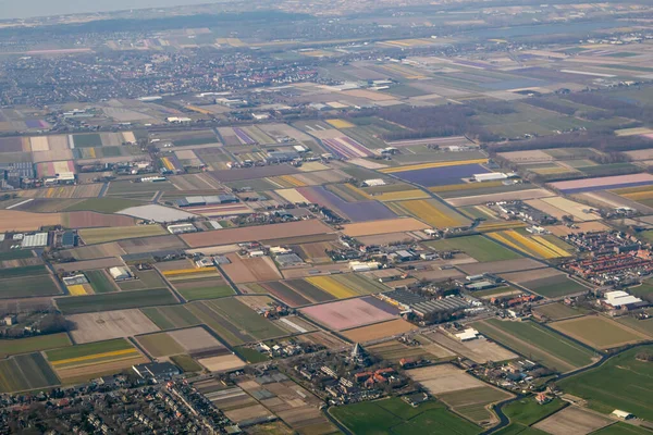 Dutch flower bulb fields seen from the air. Various colours and farms visible. High quality photo