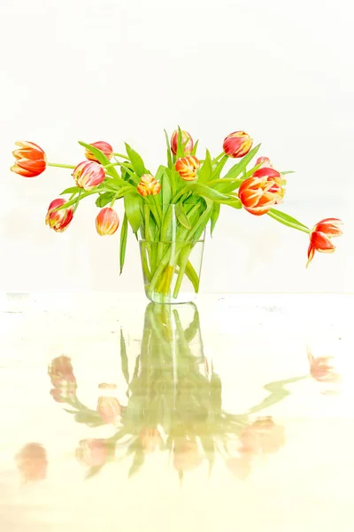 Букет Свіжих Тюльпанів Вазі Барвисті Червоні Жовті Білі Декоративні Квіти — стокове фото