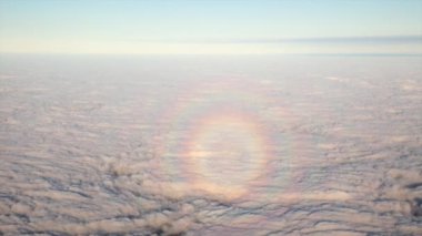 Circular halo or Glory on clouds below seen from cockpit. Also known as a Brocken Spectre. High quality FullHD footage