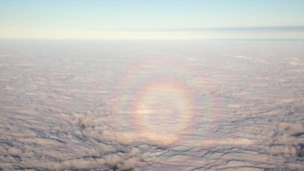Circular Halo Glory Clouds Seen Cockpit Also Known Brocken Spectre — Αρχείο Βίντεο