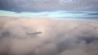 Circular halo or Glory on clouds below seen from cockpit. Aircraft descending amid colourful rainbow into fluffy white clouds. Also known as a Brocken Spectre. High quality FullHD footage