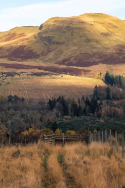 İskoçya 'nın altın kış ışığı altında tarlalarda gezinen patikalar. West Highland Yolu, Glasgow, İskoçya, İngiltere, Avrupa yakınlarında. Yüksek kalite fotoğraf