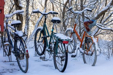 Bicycles left in a parking spot with a thick layer of fresh snow. Urban scene in soft winter light, bare vegetation and branches. In Helsinki, Finland. High quality photo