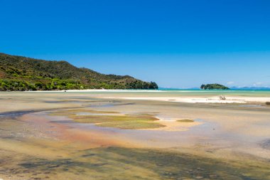 View across the bay south of Abel Tasman National Park, New Zealand. Sandbank and small shrubs, mountains in the distance, High quality photo