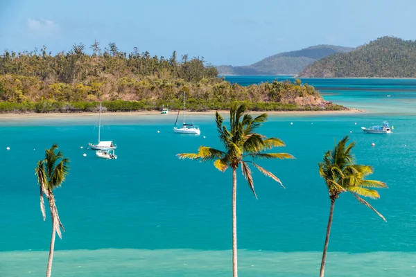 Palm trees before a blue sky and an island in vibrant, deep blue, turquoise sea in Australia. Whitsundays Islands with moored boats. High quality photo