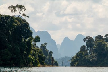 Khao Sok Ulusal Parkı, Tayland 'daki yeşil ormanlarla kaplı kireçtaşı uçurumları. Mavi göl ve uzun kuyruk teknesi, mavi gökyüzü. Yüksek kalite fotoğraf