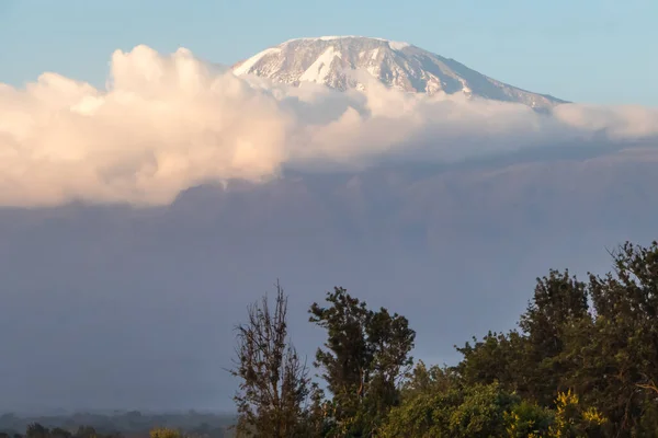 Mount Kilimanjaro seen through clouds with foreground bush. Top covered in Snow, dramatic mood. High quality photo