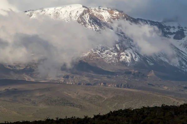 キリマンジャロ山は 前景の茂みで雲を通して見られます トップ雪 劇的な気分で覆われた 高品質の写真 — ストック写真