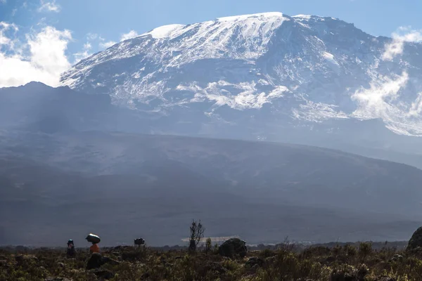 キリマンジャロ山では 地元のポーターが頭にパックを運んでいます 上へのハイキングコース 山頂は雪に覆われている 高品質の写真 — ストック写真