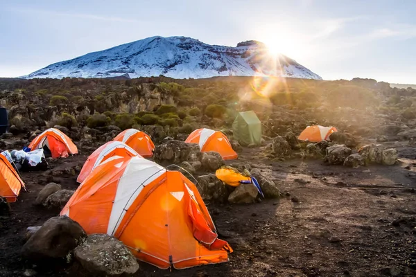 在乞力马扎罗山上 橙色的远征帐篷被晨阳照亮 高质量的照片 — 图库照片