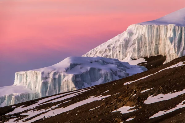 Gletsjer Helling Bij Zonsopgang Mount Kilimanjaro Tanzania Kenia Roze Ochtendlicht — Stockfoto