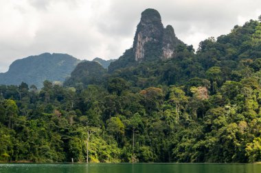 Khao Sok Ulusal Parkı, Tayland 'daki yeşil ormanlarla kaplı kireçtaşı uçurumları. Mavi göl ve uzun kuyruk teknesi, mavi gökyüzü. Yüksek kalite fotoğraf