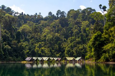 Tayland 'daki Khao Sok Ulusal Parkı' ndaki yeşil ormandaki küçük bir köy. Mavi göl ve uzun kuyruk teknesi, mavi gökyüzü. Yüksek kalite fotoğraf